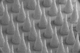 顾臻教授新研究！胰岛素泵不太行，要不试试贴剂？图片