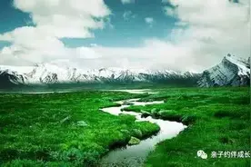 生命之河，你已流经图片