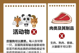 出国、回国过海关这些东西别乱带！否则会惹麻烦！图片