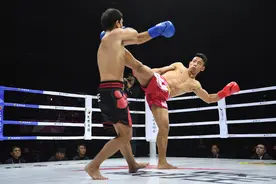 蛰伏十二载后的王者归来，散打王要以民族品牌打造文化自信图片