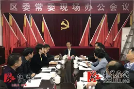 娄星区委书记彭健初现场办公专题研究万宝镇石塘村建设图片