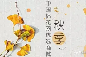 河北：籽棉采摘进度在90% 现货市场冷清图片