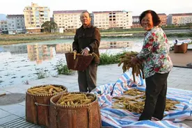 长在南方的小米过的还好吗？去壶镇看看图片