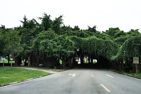 曾经繁华一时的世界乐园，废弃了也有另一种美图片