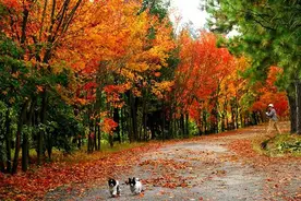 贵阳周边的8座山，秋游登高走起！图片