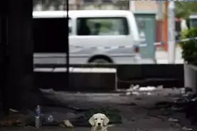 流浪汉冻死街头，狗狗看着殡仪馆工作人员抬走主人尸体，反应让人鼻酸……图片