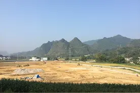 中国试验田⑮｜广西贫困县土地流转样本：三年登记10万余亩图片