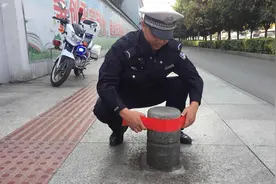 荆南路200余处隔离柱更新警示标识 保证市民安全图片
