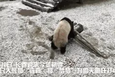 长春人 明日起气温降至零下，雪地胎你换对了吗？这些误区请注意！图片