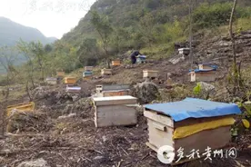 贵安新区马场镇松林村：牢牢坚守发展和生态两条底线图片