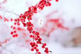 今日立冬，教你做一道麻辣海鲜全家福从胃暖到心！图片