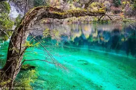 重磅！九寨沟重建规划出炉，三年后等你归来！图片