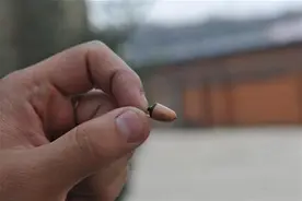 考场上狂拽衣领露馅！彭州男子驾考作弊 组织者获缓刑图片