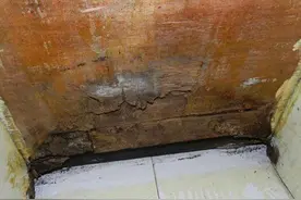 8890︱水槽脱胶漏水 下方橱柜侧壁霉烂图片