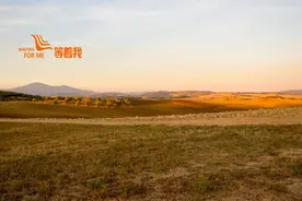 等着我｜一张全家福支撑她寻子30年！今晚22:38，一起见证人间团圆！图片