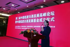 张弓酒业董事长孟艳博鳌论道低度白酒：低度白酒是健康的，更是属于未来的！图片