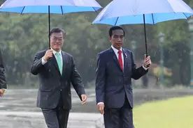韩印两国元首雨中种树 互相撑伞默契十足图片