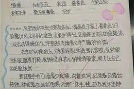 济南市鸡山小学开展采蜜集读书笔记展评活动图片