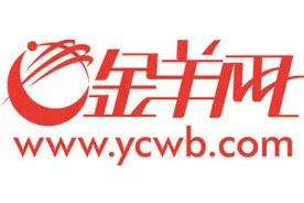 双十一默认付款方式变“花呗” 提醒：“剁手”后还款需多留心图片