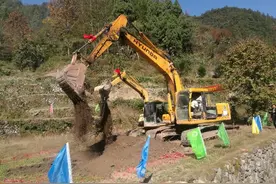 喜事！天台唯一没有通镇公路的行政村今天开始施工图片