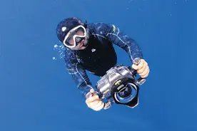 海南周刊｜海南小伙在深海与鲸共舞图片