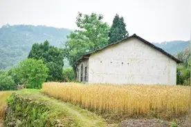 湖北影视频道《文创汇》栏目报道西厢房·家学村宿：做一日山谷里的居民视频封面