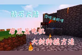 变态钻石大陆6〓岩浆发电机，大树种植方法 我的世界