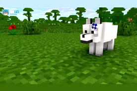 我的世界MC动画：要如何在野外生存，狼爸爸对狼宝宝的野外生存教学