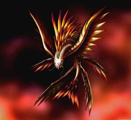 它们才是四大神兽,不要与四圣兽弄混了