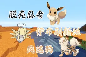 神奇宝贝 58：脱壳忍者 风速狗 伊布刷新新地形 我的世界