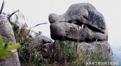 本来没有路,走的人多了就走出了一个“金凤凰”——珠海凤凰山