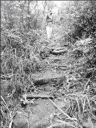 本来没有路,走的人多了就走出了一个“金凤凰”——珠海凤凰山