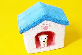 迷你DIY—小狗玩具屋视频封面