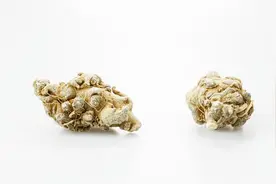 三七粉打粉原料之四 戴帽七视频封面