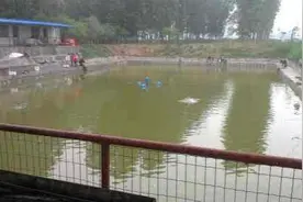 为什么有，长钓腰方钓角这说法视频封面