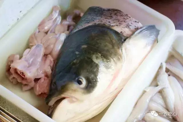 东海开渔,宁波的吃货就享福啦,憋了一个多月的嘴卯足劲吃