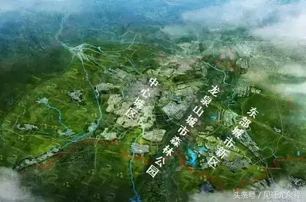 成都人才新政未满月，1425人落户龙泉驿！是什么让他们如此心动？
