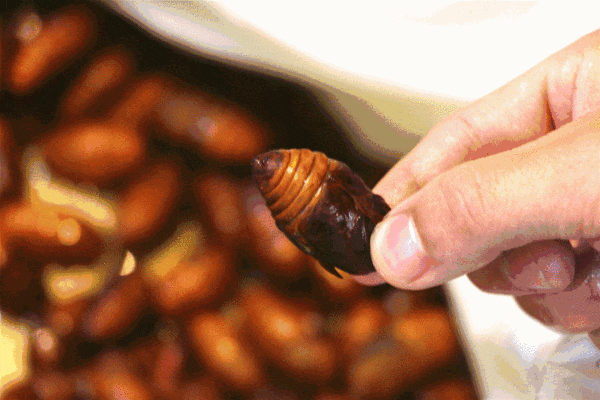 “它”氨基酸含量是牛奶的10倍，能益精助阳，对癌症有特殊