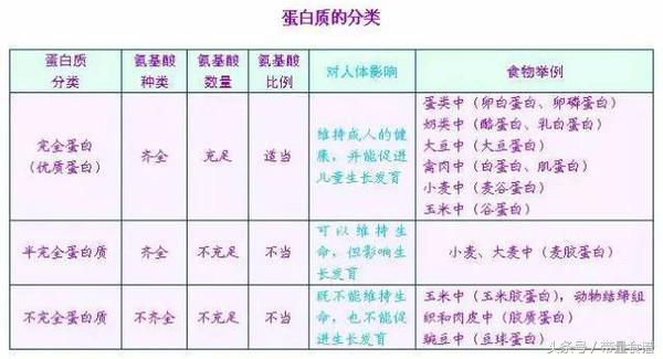 浅谈优质蛋白质以及蛋白质互补作用