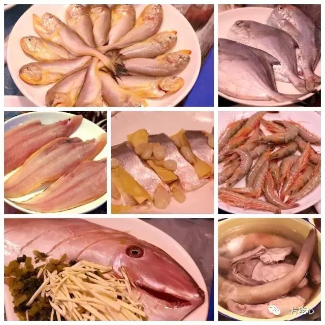 东海开渔,宁波的吃货就享福啦,憋了一个多月的嘴卯足劲吃