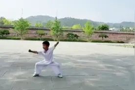 武当萌娃，仅有5岁的豆豆演练武当基本拳，动作到位，虎虎生威视频封面