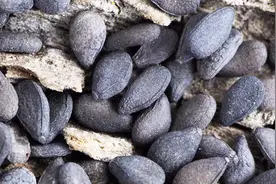 十大最补肝的食物视频封面