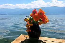 视频解析——2017年高考（全国卷）理科数学第17题视频封面