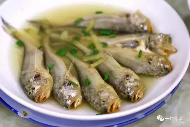 东海开渔,宁波的吃货就享福啦,憋了一个多月的嘴卯足劲吃