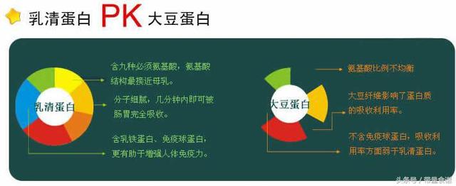 浅谈优质蛋白质以及蛋白质互补作用