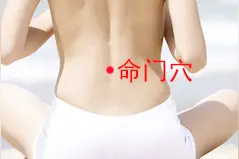 命门穴的位置，穴位疗法，功效及主治病症