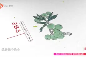 学点中药养生！本草纲目之化橘红：治痰症，消食，醒酒，宽中！视频封面