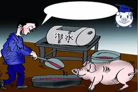 为了谋取利益他们这样养猪简直造孽，告诉家人这种猪肉坚决不吃！图片