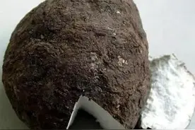 茯苓，茯苓，健脾宁心要靠它！图片