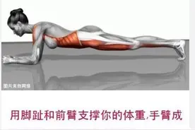 ​平板支撑动作是公认最能锻炼腹部及核心肌群的动作图片